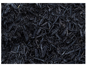 black mulch