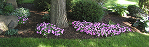 landscape mulch