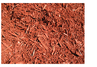 red rose mulch